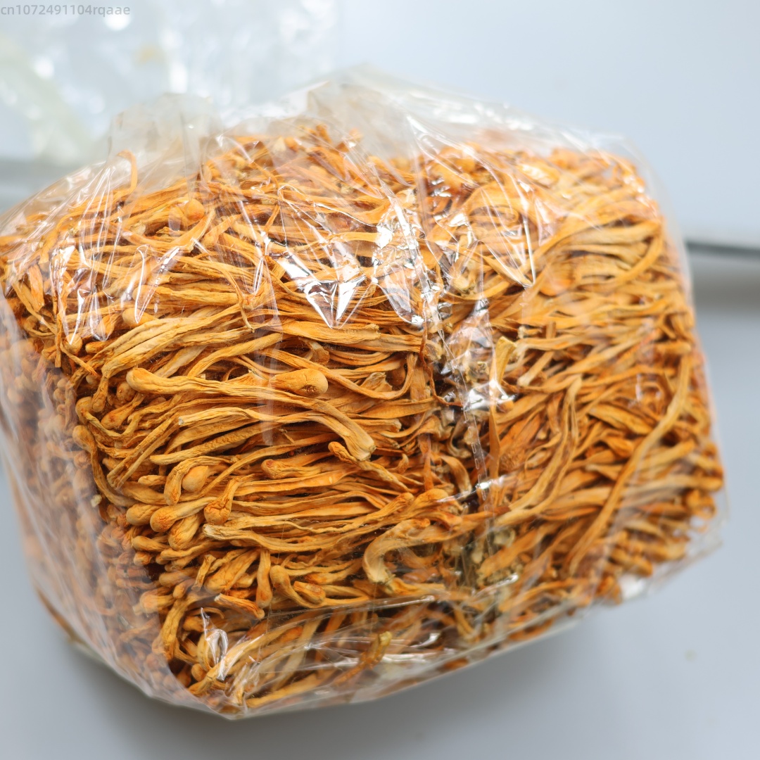 250g/500g 프리미엄 천연 건조 동충하초 꽃 미용 - Candle Making Uk 리뷰 및 가격