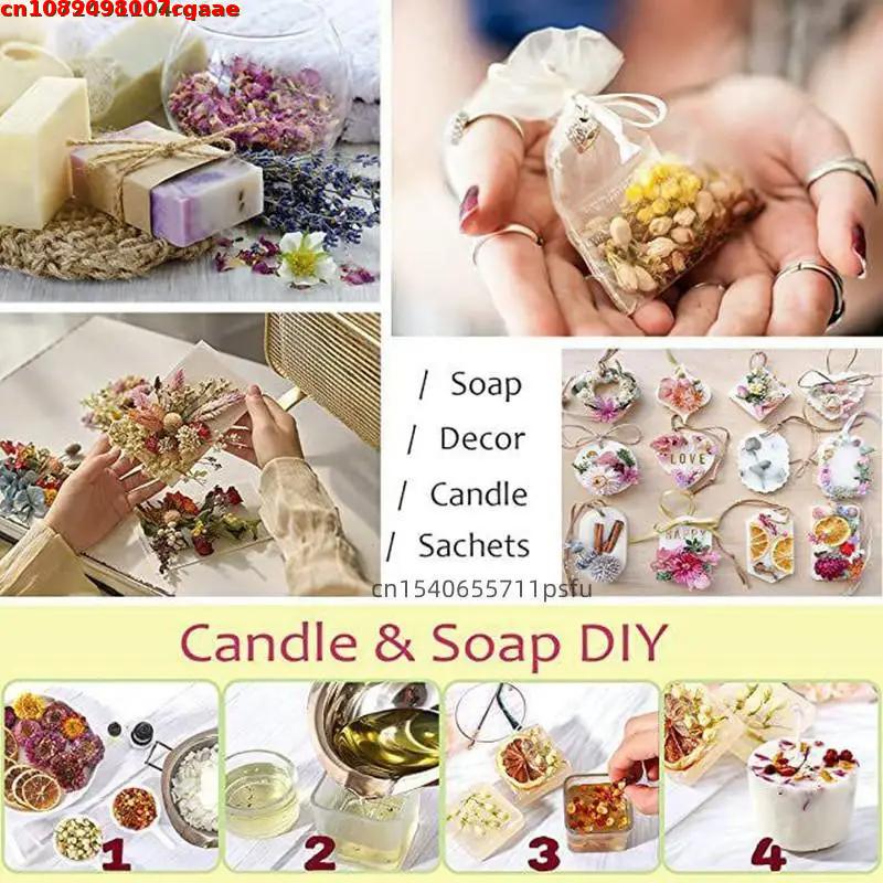 고품질 초보자용 천연 건조 꽃 위카, 위카 의식, 마법 - Candle Making For Beginners 리뷰 및 가격